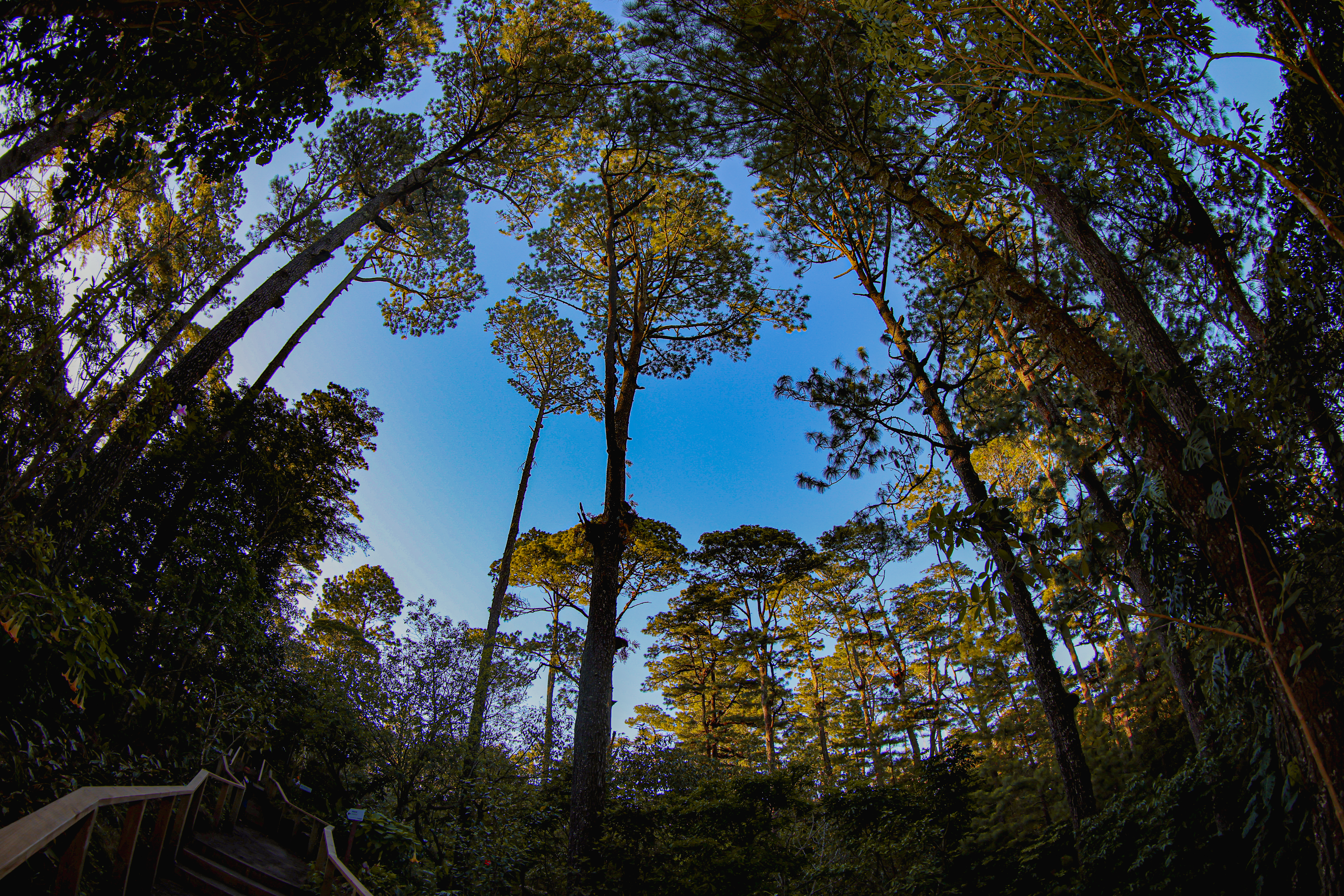 Photo from Parque Nacional El Boquerón